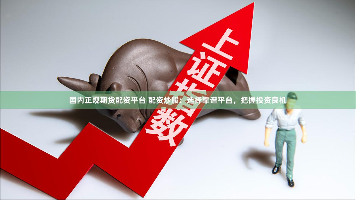 国内正规期货配资平台 配资炒股：选择靠谱平台，把握投资良机